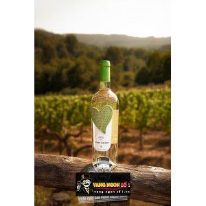 Vang Ý Amami Pinot Grigio bn1