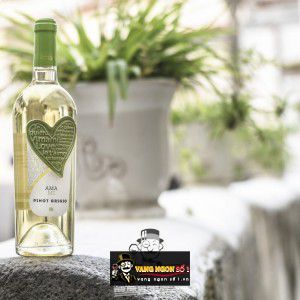 Vang Ý Amami Pinot Grigio bn2