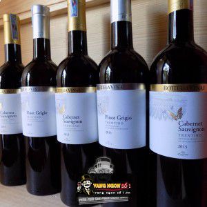 Vang Ý Bottega Vinai Cabernet Sauvignon bn1