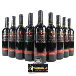 Vang Ý Pater Frescobaldi Sangiovese di Toscana bn1