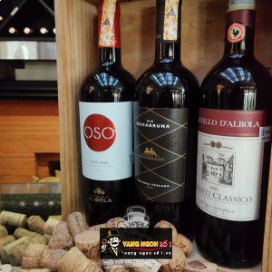 Vang Ý OSO Toscana Castello di Albola Red bn4