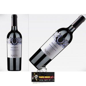 Vang Ý Nativ Blu Onice Irpinia Aglianico 97 điểm bn2