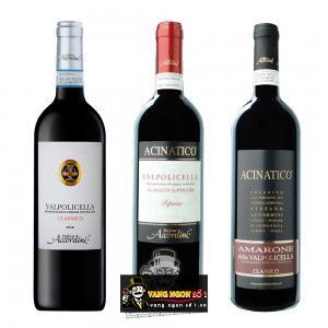 Rượu vang Acinatico Amarone Della Valpolicella bn2