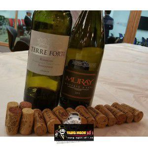 Vang Ý Muray Moscato dAsti uống ngon bn4