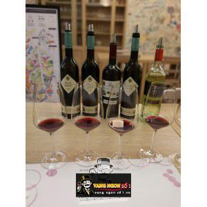 Vang Ý Sarmassa Marchesi di Barolo Piedmont Uống ngon bn4