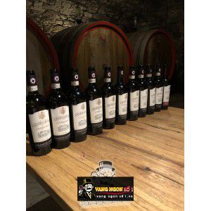 Vang Ý Castelvecchi Capotondo Chianti Classico bn3