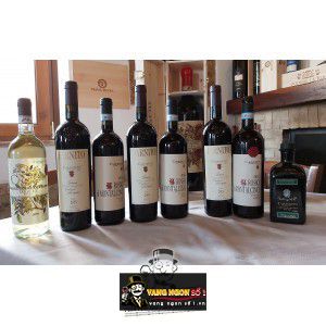 Vang Ý Carpineto Rosso di Montalcino bn3