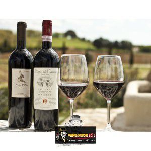 Rượu vang Poggio Al Casone Chianti Superiore Tuscany bn1