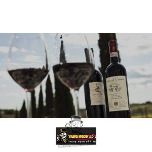 Rượu vang Poggio Al Casone Chianti Superiore Tuscany bn2