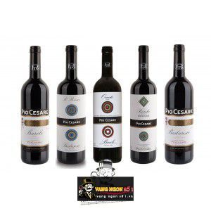 Vang Ý Pio Cesare Il Bricco Single Vineyard thượng hạng bn1