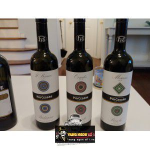 Vang Ý Pio Cesare Il Bricco Single Vineyard thượng hạng bn2
