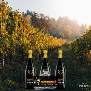 Vang Ý Tosti Moscato dAsti uống ngon bn3