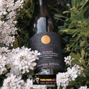Vang Ý Amarone Simison Della Vapolicella Clasico DOCG bn2