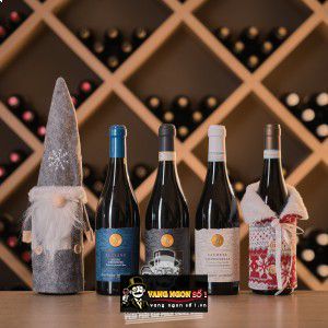 Vang Ý Amarone Simison Della Vapolicella Clasico DOCG bn4