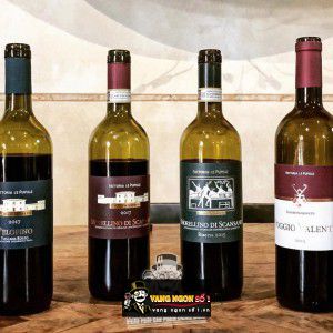 Vang Ý Pelofino Toscana Rosso Fattoria Le Pupille bn3