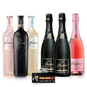 Vang Ý Freixenet Chianti Sangiovese DOCG bn2