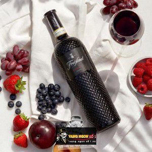 Vang Ý Freixenet Chianti Sangiovese DOCG bn3