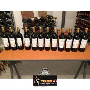 Vang Pháp Chateau De Sainte Gemme Haut Medoc Cru Bougeois bn1