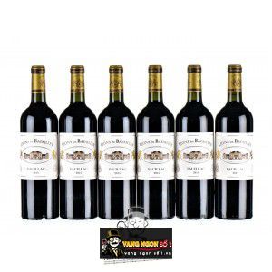 Vang Pháp Lions de Batailley Pauillac bn1