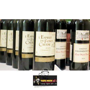 Vang Pháp Chateau de Villenouvette Cuvee Marcel Barsalou bn1