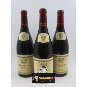 Vang Pháp Pommard Les Rugiens Premier Cru Louis Jadot bn2