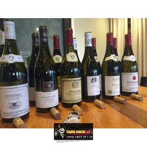 Vang Pháp Pommard Les Rugiens Premier Cru Louis Jadot bn3