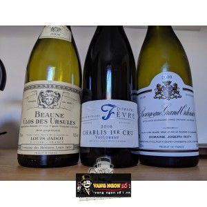 Vang Pháp Pommard Les Rugiens Premier Cru Louis Jadot bn4