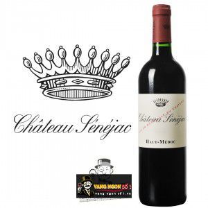 Vang Pháp Chateau Senejac Haut Medoc bn1