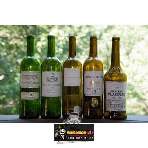 Vang Pháp Chateau Plagnac Medoc Cru Bourgeois bn1