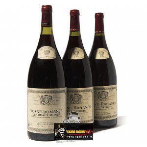 Vang Pháp Vosne Romanee Les Suchots Louis Jadot 2009 bn1