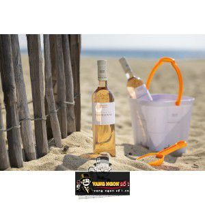 Vang Pháp Chateau de Pampelonne Rose Cotes de Provence Cao Cấp bn4