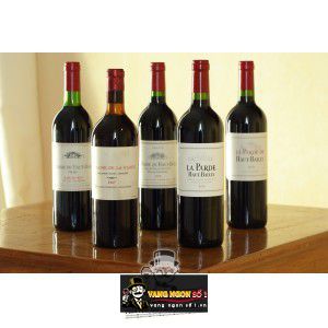 Vang Pháp La Parde de Haut Bailly Pessac Leognan 2013 bn2