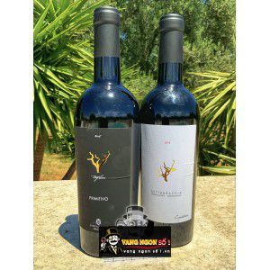 Rượu vang Ý TREFILARI PRIMITIVO SAMPIETRANA SALENTO bn3