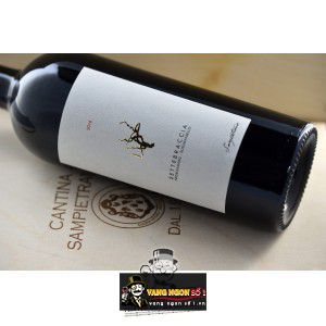 Rượu vang Ý SETTEBRACCIA SAMPIETRANA bn1