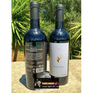 Rượu vang Ý SETTEBRACCIA SAMPIETRANA bn2
