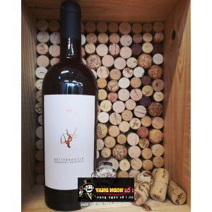 Rượu vang Ý SETTEBRACCIA SAMPIETRANA