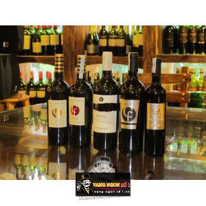 Rượu vang Ý CF COLLEFRISIO MONTEPULCIANO uống ngon bn1