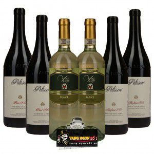Vang Ý Pelissero Piani Barbera dAlba Piemonte 91 điểm bn2
