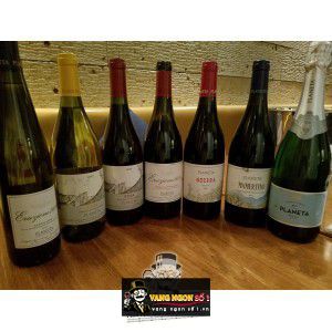 Vang Ý Etna Planeta Bianco bn1