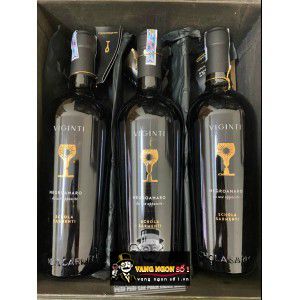 Vang Ý Viginti Negroamaro Schola Sarmenti - Vang chén thánh 17 độ bn3