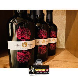 Vang ngọt Ý Sotto Sopra Collefriso uống ngon bn2