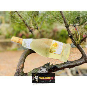 Vang Ý Tropical Mango Moscato Piemonte bn1