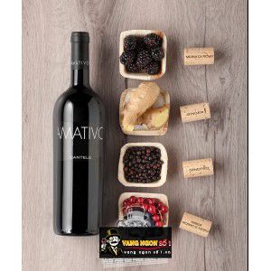 Vang Ý Amativo Cantele Salento Uống ngon bn1