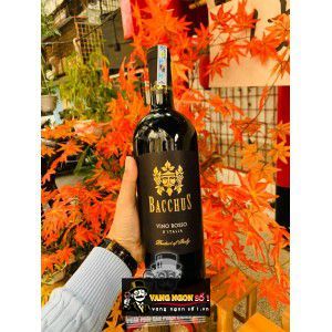Vang Ý Bacchus Vino Rosso IGP uống ngon bn1