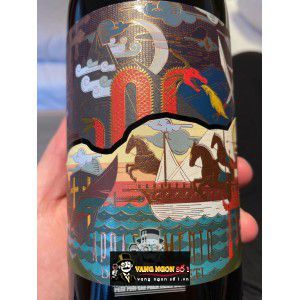 Rượu Vang Ý Domini Veneti Appassimento Rosso bn2