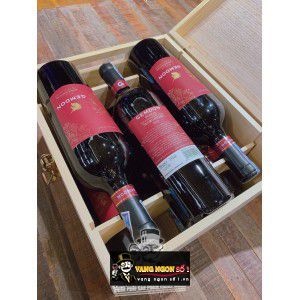 Rượu Vang Ý Gemdon Negroamaro thượng hạng bn1