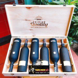 Rượu Vang Ý Torreserro Appassimento cao cấp bn3