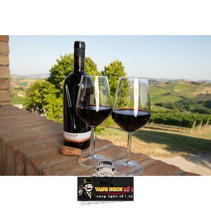 Rượu Vang Ý Roggio Del Filare cao cấp bn1