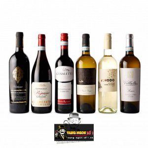 Rượu Vang Ý Virtuoso Primitivo di Manduria thượng hạng bn1