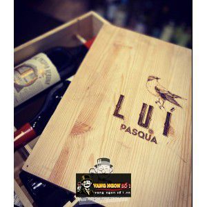Rượu Vang Ý Pasqua Luí Cabernet Sauvignon Veneto thượng hạng bn3